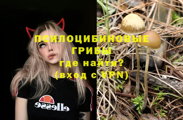 apvp Алексеевка