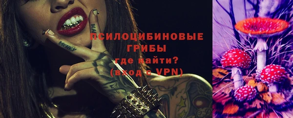 apvp Алексеевка