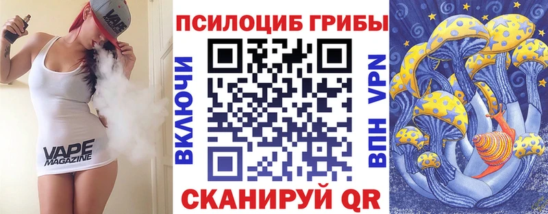 сколько стоит  Нижний Тагил  OMG зеркало  Галлюциногенные грибы Psilocybe 